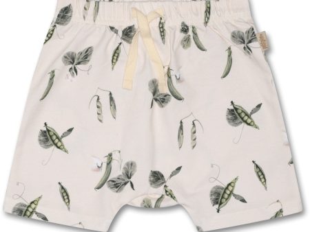 Petit Piao® Pea Flower Shorts Sum Printed Supply