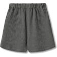 Fliink Magnet Paco Shorts on Sale